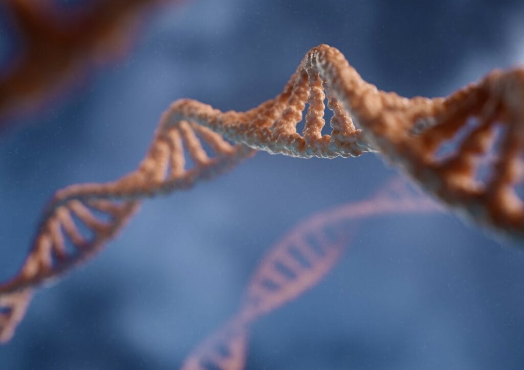 Riconfigurare il Cervello: Il Codice Neuronale dei Ricordi Traumatici 1 codice neuronale