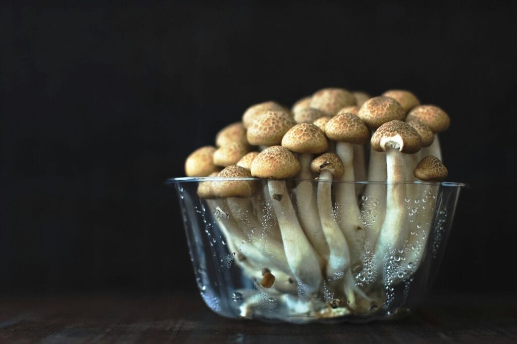 Ruolo di Supplementi e Funghi nel Contrasto alla Nebbia Cerebrale 1 cwu4agioqay