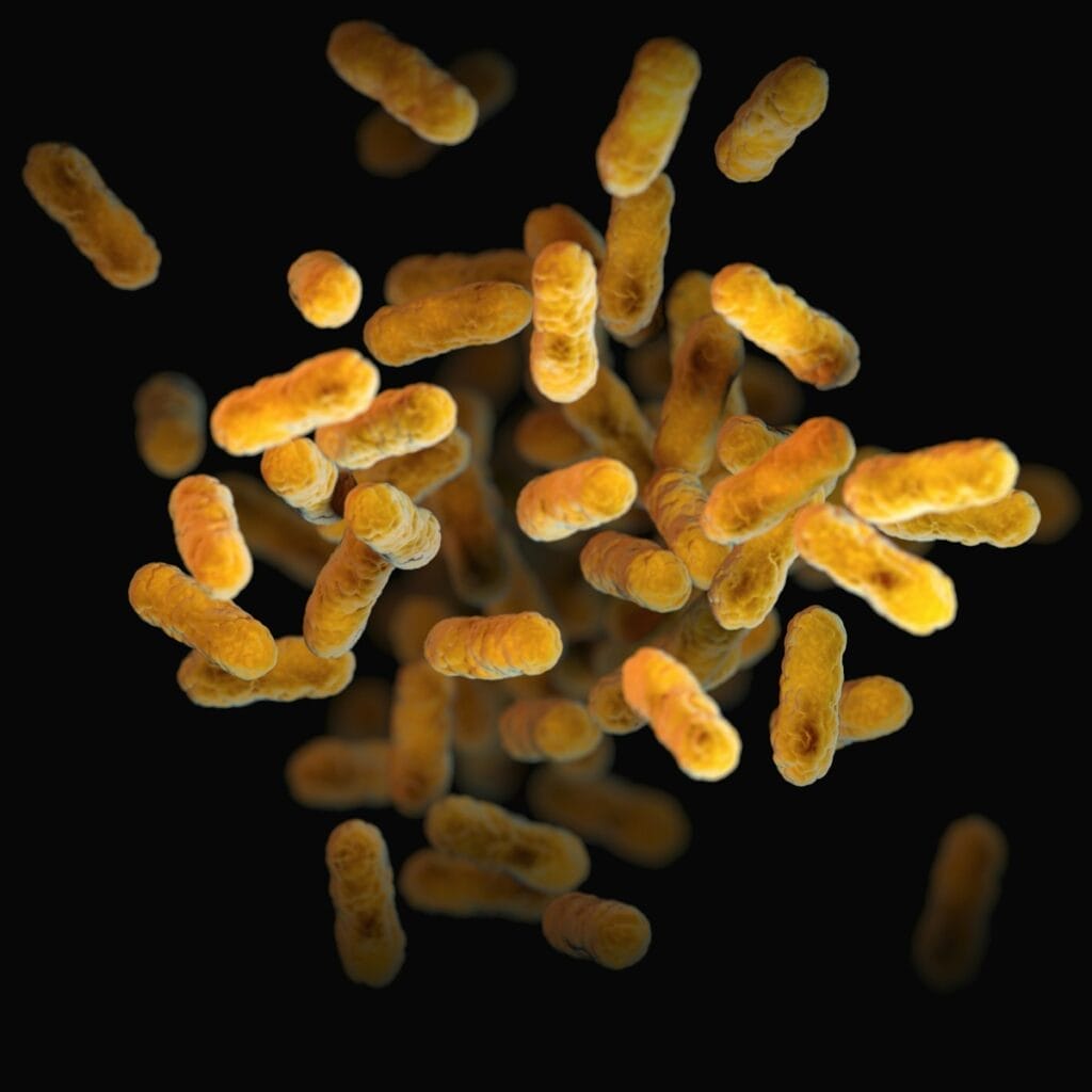 Probiotici e Antidepressivi: Una Combinazione Vincente contro la Depressione Maggiore 1 Probiotici e Antidepressivi